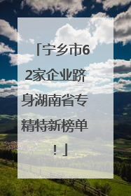 宁乡市62家企业跻身湖南省专精特新榜单！