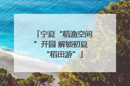 宁夏“稻渔空间”开园 解锁初夏“稻田游”
