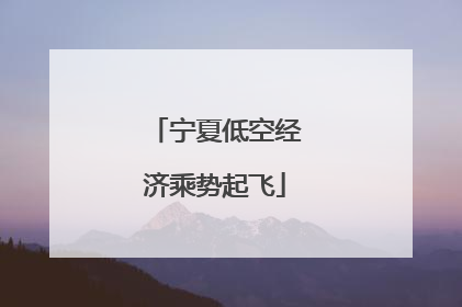 宁夏低空经济乘势起飞