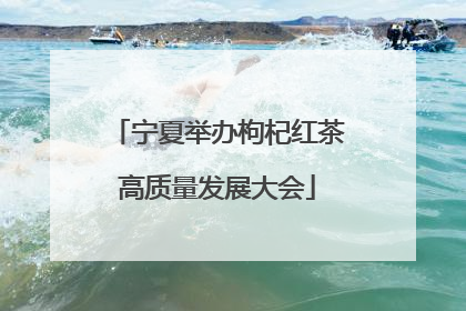 宁夏举办枸杞红茶高质量发展大会