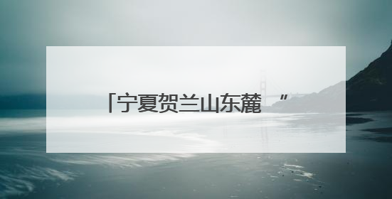宁夏贺兰山东麓 “红酒+”激发新活力