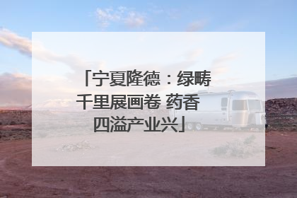 宁夏隆德：绿畴千里展画卷 药香四溢产业兴