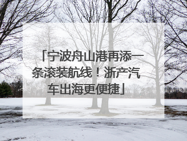 宁波舟山港再添一条滚装航线！浙产汽车出海更便捷