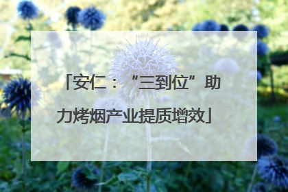 安仁：“三到位”助力烤烟产业提质增效