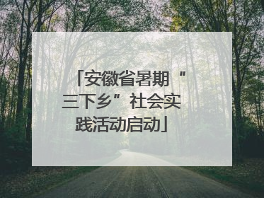 安徽省暑期“三下乡”社会实践活动启动