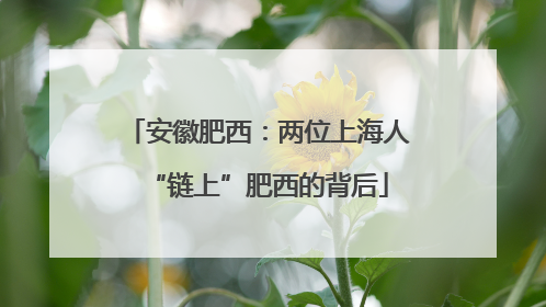 安徽肥西：两位上海人“链上”肥西的背后