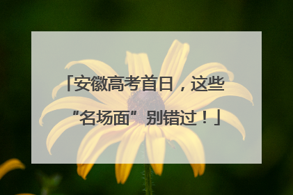 安徽高考首日，这些“名场面”别错过！