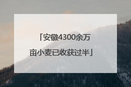 安徽4300余万亩小麦已收获过半