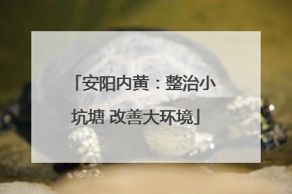 安阳内黄：整治小坑塘 改善大环境