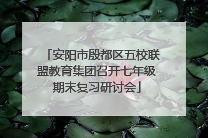 安阳市殷都区五校联盟教育集团召开七年级期末复习研讨会