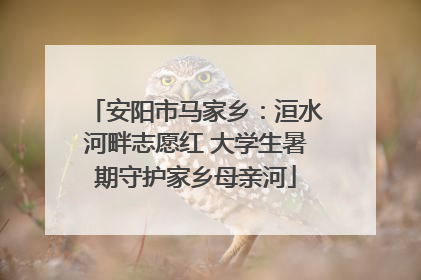 安阳市马家乡：洹水河畔志愿红 大学生暑期守护家乡母亲河