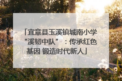 宜章县玉溪镇城南小学“溪韧中队”：传承红色基因 锻造时代新人