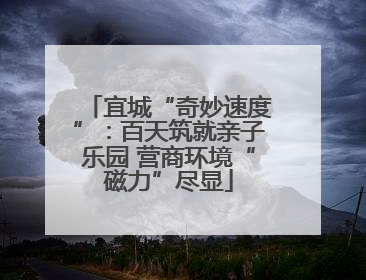 宜城“奇妙速度”：百天筑就亲子乐园 营商环境“磁力”尽显
