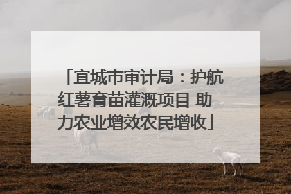 宜城市审计局：护航红薯育苗灌溉项目 助力农业增效农民增收