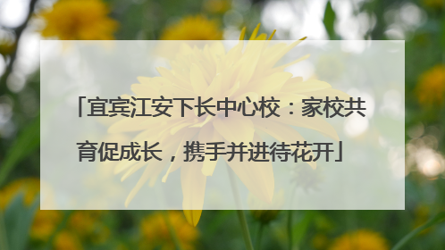 宜宾江安下长中心校：家校共育促成长，携手并进待花开