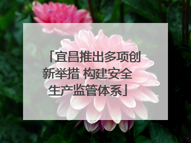 宜昌推出多项创新举措 构建安全生产监管体系
