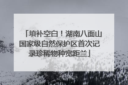 填补空白！湖南八面山国家级自然保护区首次记录珍稀物种宽距兰