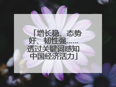 增长稳、态势好、韧性强……透过关键词感知中国经济活力