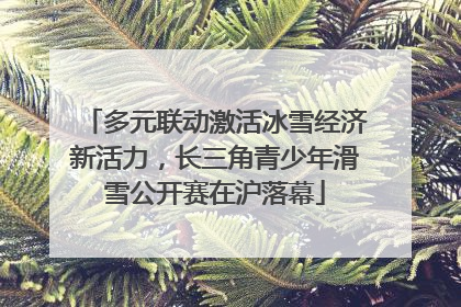 多元联动激活冰雪经济新活力，长三角青少年滑雪公开赛在沪落幕