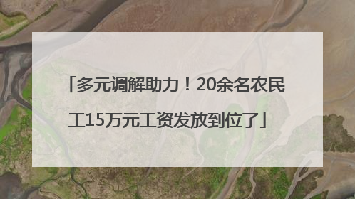 多元调解助力！20余名农民工15万元工资发放到位了