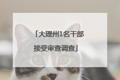大理州1名干部接受审查调查