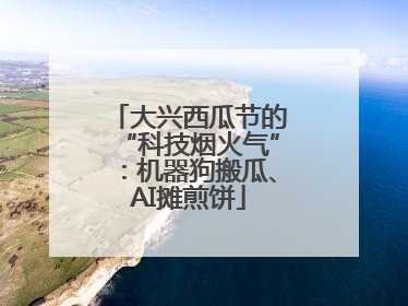 大兴西瓜节的“科技烟火气”：机器狗搬瓜、AI摊煎饼