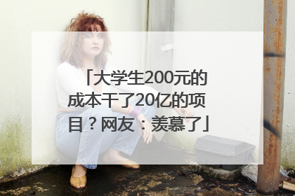 大学生200元的成本干了20亿的项目？网友：羡慕了