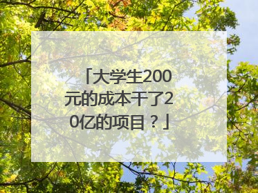 大学生200元的成本干了20亿的项目？