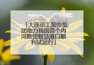 大连重工装备集团助力我国首个内河散货智慧港口顺利试运行