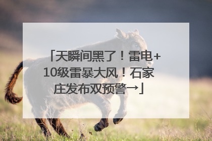 天瞬间黑了！雷电+10级雷暴大风！石家庄发布双预警→
