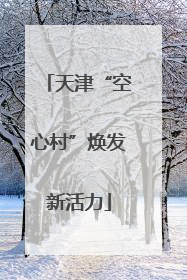 天津“空心村”焕发新活力