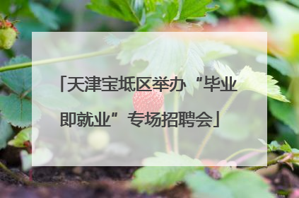 天津宝坻区举办“毕业即就业”专场招聘会