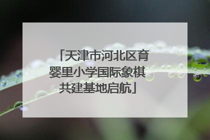 天津市河北区育婴里小学国际象棋共建基地启航