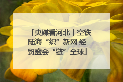央媒看河北丨空铁陆海“织”新网 经贸盛会“链”全球