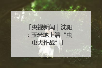 央视新闻｜沈阳：玉米地上演“虫虫大作战”