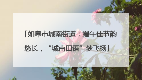 如皋市城南街道：端午佳节韵悠长，“城南田语”梦飞扬