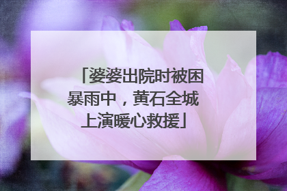 婆婆出院时被困暴雨中，黄石全城上演暖心救援