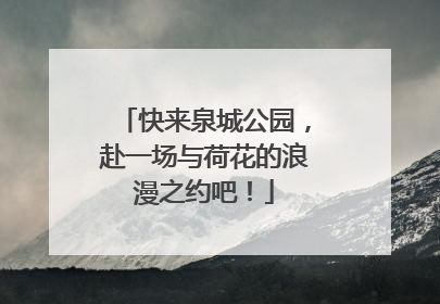 快来泉城公园，赴一场与荷花的浪漫之约吧！
