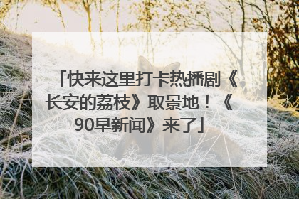快来这里打卡热播剧《长安的荔枝》取景地！《90早新闻》来了