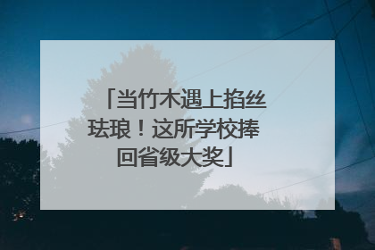 当竹木遇上掐丝珐琅！这所学校捧回省级大奖