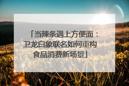 当辣条遇上方便面：卫龙白象联名如何重构食品消费新场景