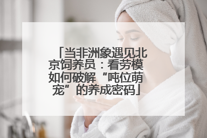 当非洲象遇见北京饲养员：看劳模如何破解“吨位萌宠”的养成密码