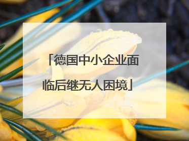 德国中小企业面临后继无人困境