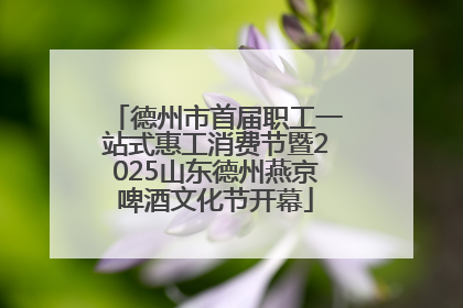 德州市首届职工一站式惠工消费节暨2025山东德州燕京啤酒文化节开幕