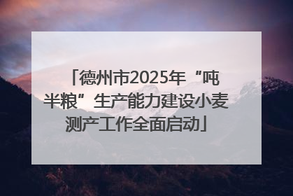 德州市2025年“吨半粮”生产能力建设小麦测产工作全面启动