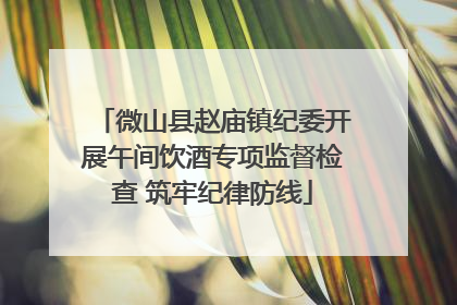 微山县赵庙镇纪委开展午间饮酒专项监督检查 筑牢纪律防线