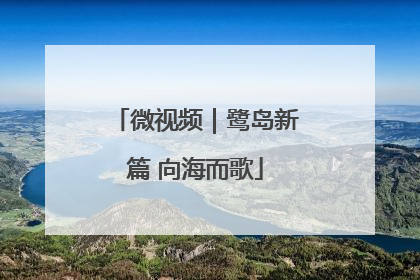 微视频｜鹭岛新篇 向海而歌