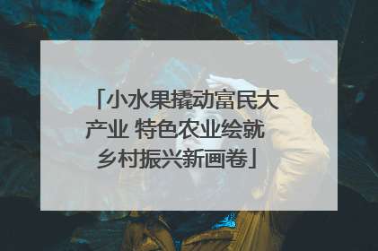 小水果撬动富民大产业 特色农业绘就乡村振兴新画卷