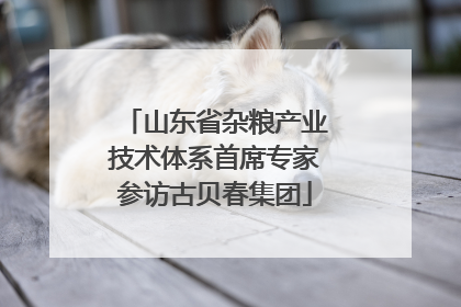 山东省杂粮产业技术体系首席专家参访古贝春集团