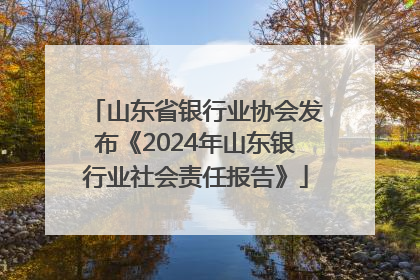 山东省银行业协会发布《2024年山东银行业社会责任报告》